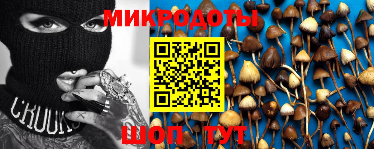 Галлюциногенные грибы Cubensis  Вход с VPN  купить наркоту  Кубинка 