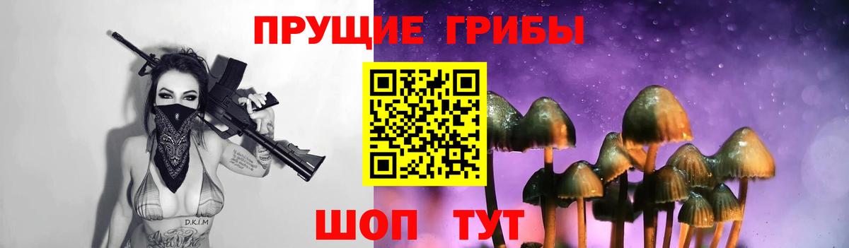 Галлюциногенные грибы Psilocybine cubensis Кубинка